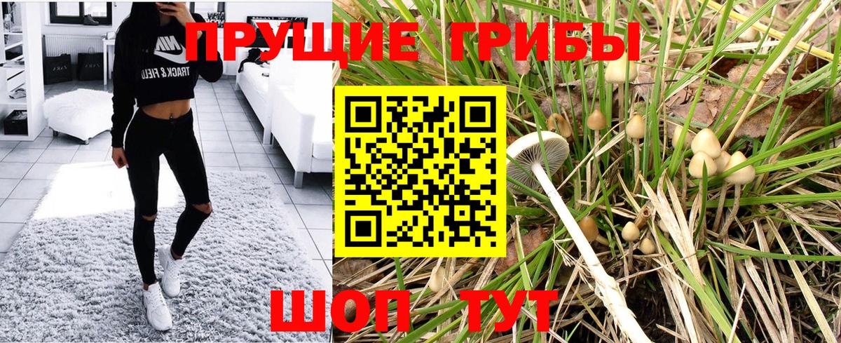 Галлюциногенные грибы мицелий  Вход с VPN  Кимовск 
