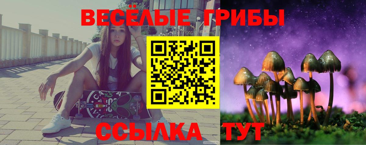 Псилоцибиновые грибы GOLDEN TEACHER Кимовск